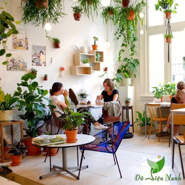 Tuyệt chiêu sử dụng cây xanh trang trí quán cafe ấn tượng